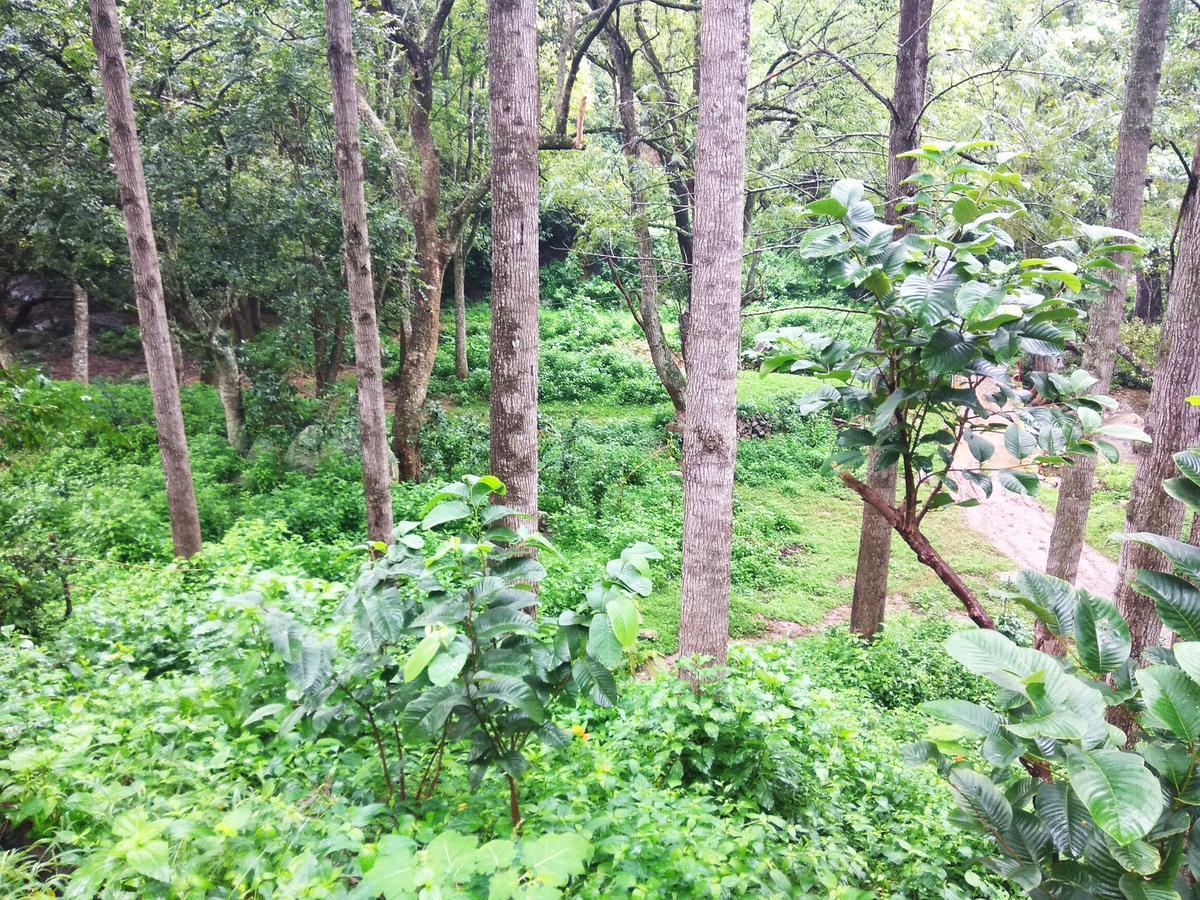 Secret Valley Jungle Resort Ooty Bagian luar foto