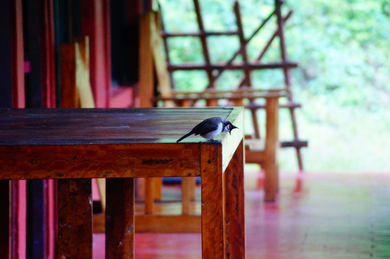 Secret Valley Jungle Resort Ooty Bagian luar foto