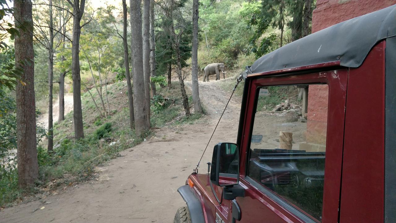 Secret Valley Jungle Resort Ooty Bagian luar foto
